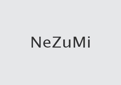 Schriftzug Projekt NeZuMi