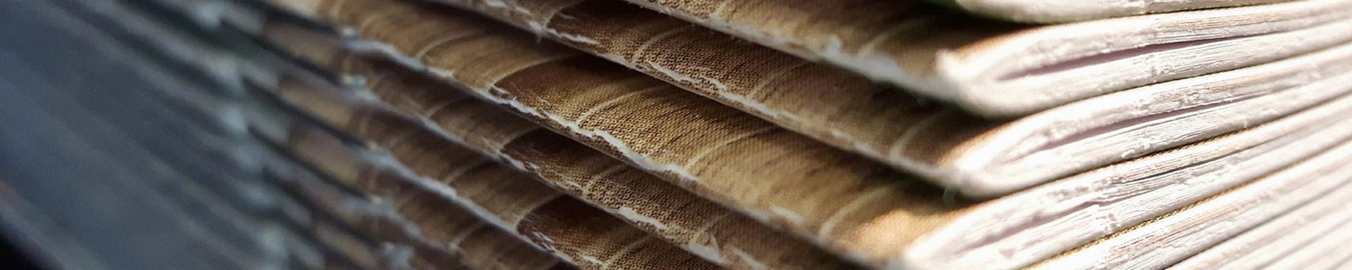 Bild von justynaandryszek auf Pixabay