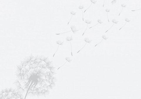 Background vector created by Layerace - www.freepik.com