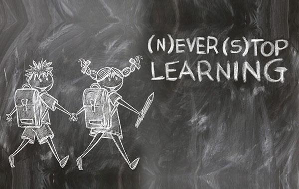 Beitragsbild "(N)ever (s)top Learning" Alive-Projekt
